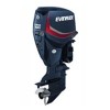 Evinrude Johnson