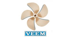 VEEM